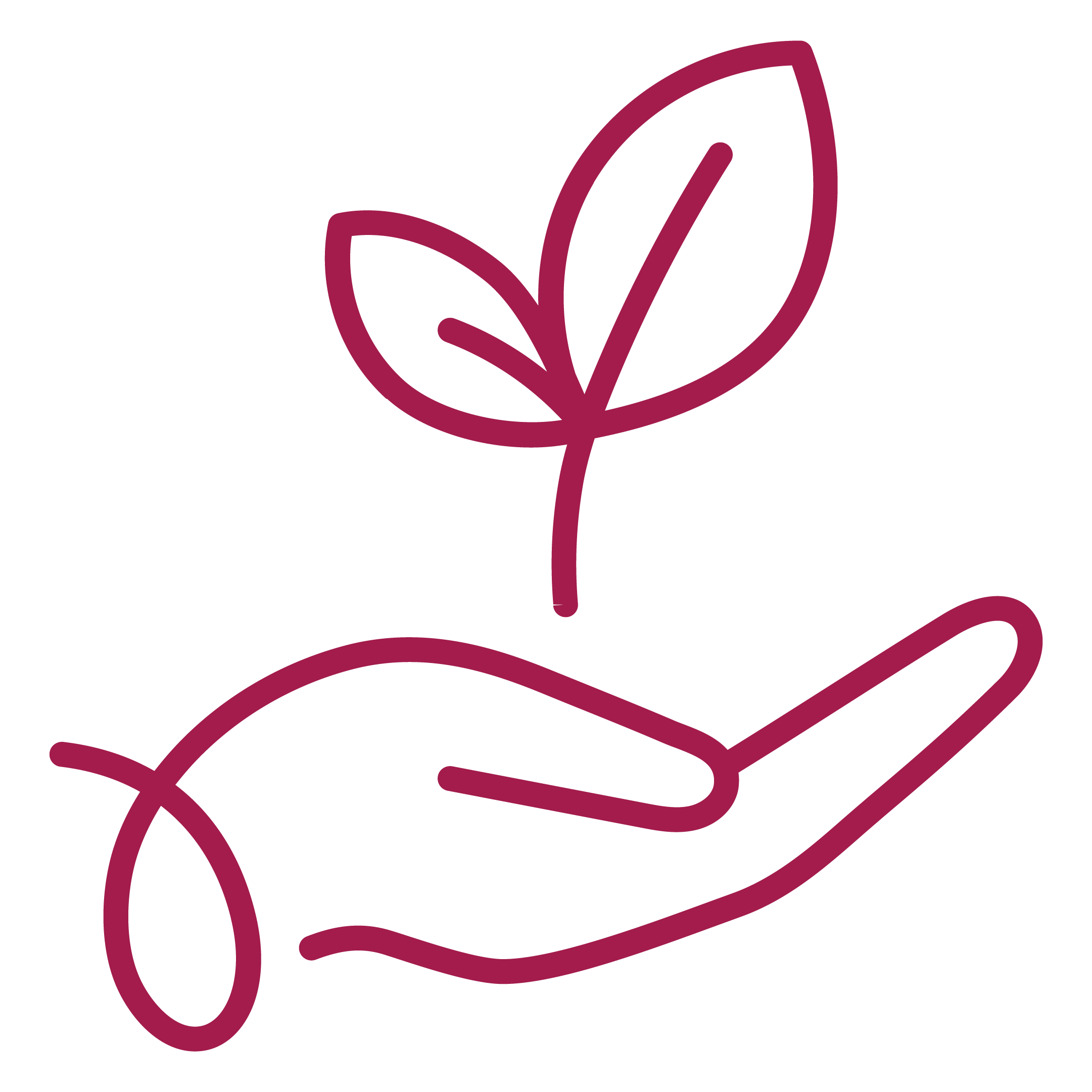 Environmental Stewardship - OCCF Vision 2030