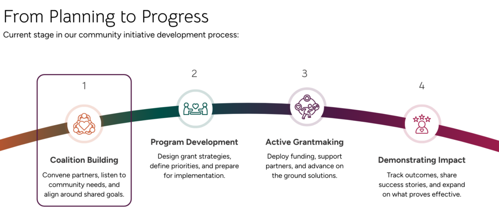 Youth Mental Health Initiative Status